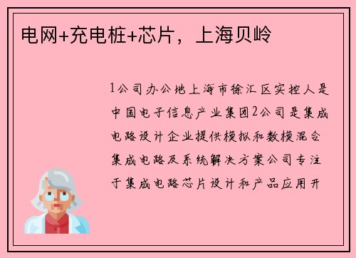 电网+充电桩+芯片，上海贝岭