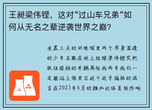 王昶梁伟铿，这对“过山车兄弟“如何从无名之辈逆袭世界之巅？