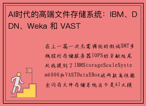 AI时代的高端文件存储系统：IBM、DDN、Weka 和 VAST