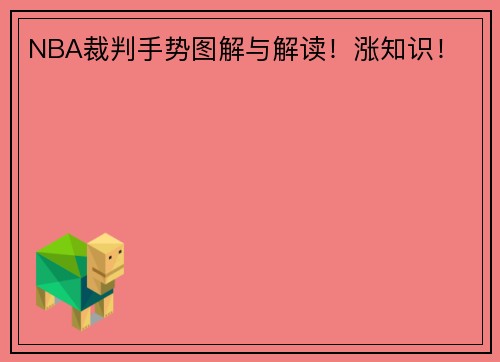 NBA裁判手势图解与解读！涨知识！