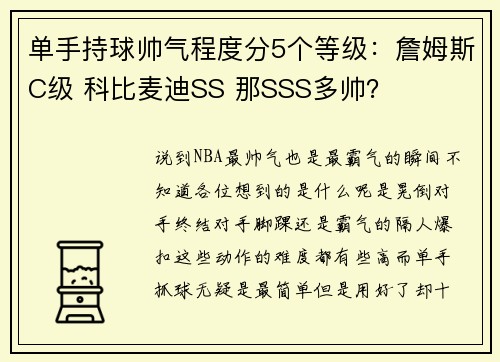单手持球帅气程度分5个等级：詹姆斯C级 科比麦迪SS 那SSS多帅？